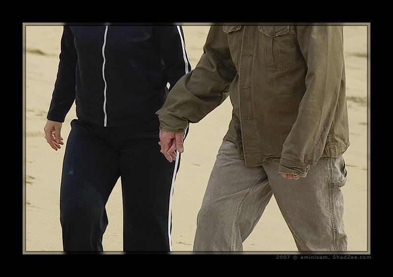 A Walk on the beach