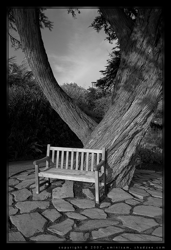 The Corner Bench