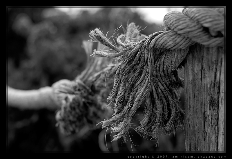 Broken Rope